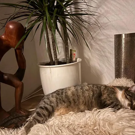 营地 Heuhotel Farm Gemeinschaftsbad Own Sleeping Bag Free Wifi Hausbreitenbach