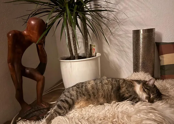 Kamp alanı Heuhotel Farm Gemeinschaftsbad Own Sleeping Bag Free Wifi Hausbreitenbach